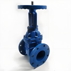 手動(dòng)閘閥Z41T-16 DN50/DN65廠家直銷，上海發(fā)
